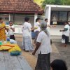 Sethpatha Bodhi Puja Pingkam for New Year at Magammana Purana Temple (2023-01-02)